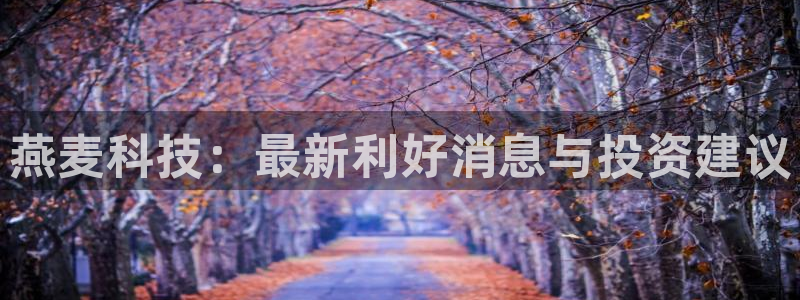 燕麦科技：最新利好消息与投资建议