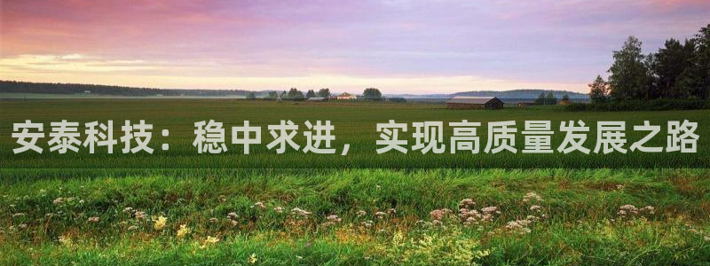 安泰科技：稳中求进，实现高质量发展之路