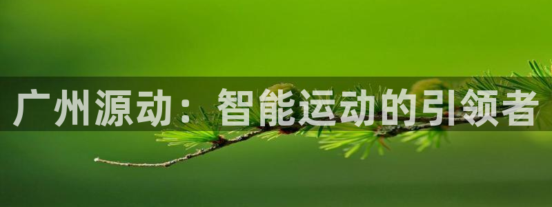 广州源动：智能运动的引领者