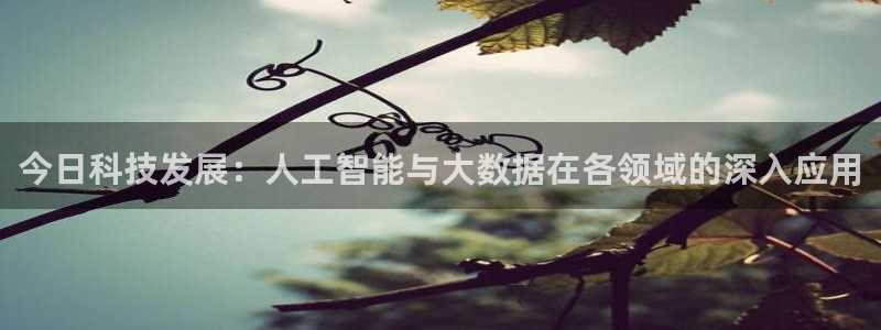 今日科技发展：人工智能与大数据在各领域的深入应用