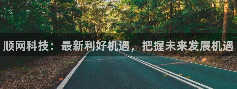 顺网科技：最新利好机遇，把握未来发展机遇