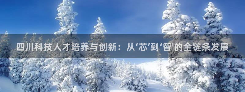 四川科技人才培养与创新：从‘芯’到‘智\'的全链条发展