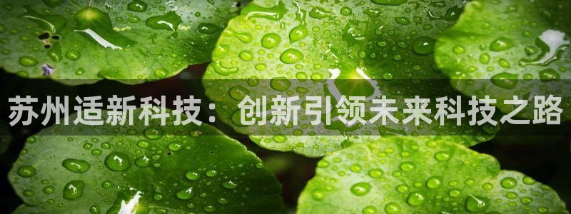 苏州适新科技：创新引领未来科技之路