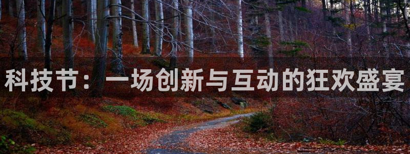 科技节：一场创新与互动的狂欢盛宴