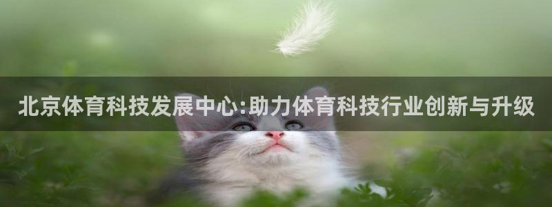 北京体育科技发展中心:助力体育科技行业创新与升级