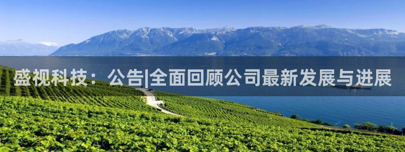 盛视科技：公告|全面回顾公司最新发展与进展