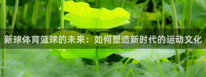 新球体育篮球的未来：如何塑造新时代的运动文化