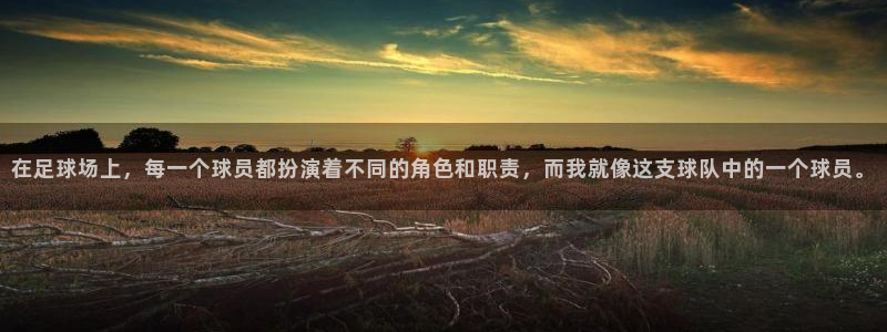 在足球场上，每一个球员都扮演着不同的角色和职责，而我就像这支球队中的一个球员。