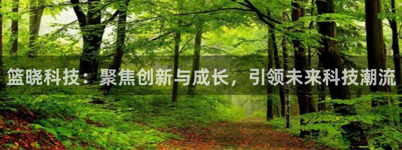 篮晓科技：聚焦创新与成长，引领未来科技潮流