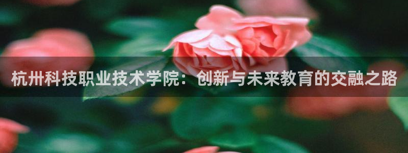 杭卅科技职业技术学院：创新与未来教育的交融之路
