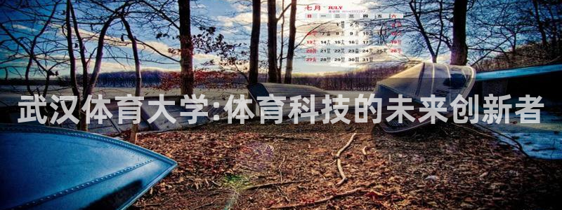 武汉体育大学:体育科技的未来创新者