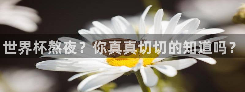 世界杯熬夜？你真真切切的知道吗？