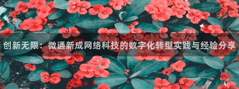 创新无限：微通新成网络科技的数字化转型实践与经验分享