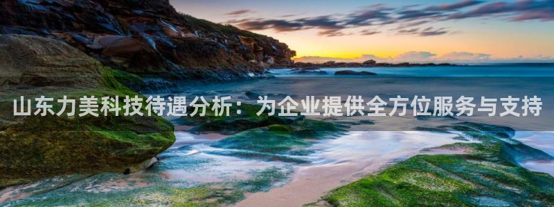 山东力美科技待遇分析：为企业提供全方位服务与支持