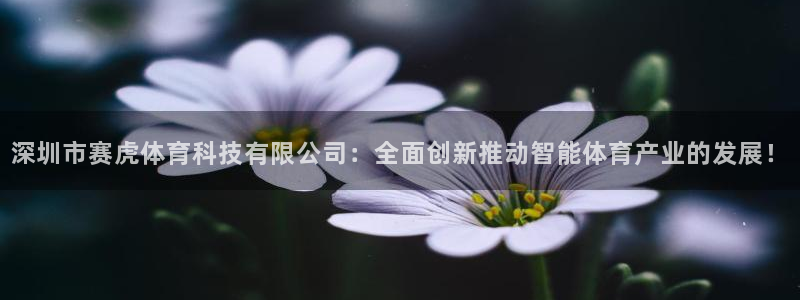 深圳市赛虎体育科技有限公司：全面创新推动智能体育产业的发展！