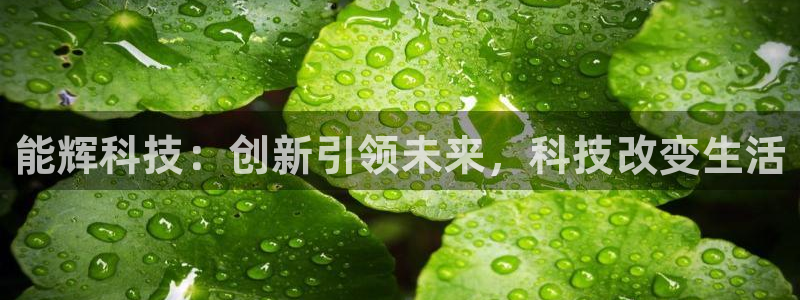能辉科技：创新引领未来，科技改变生活