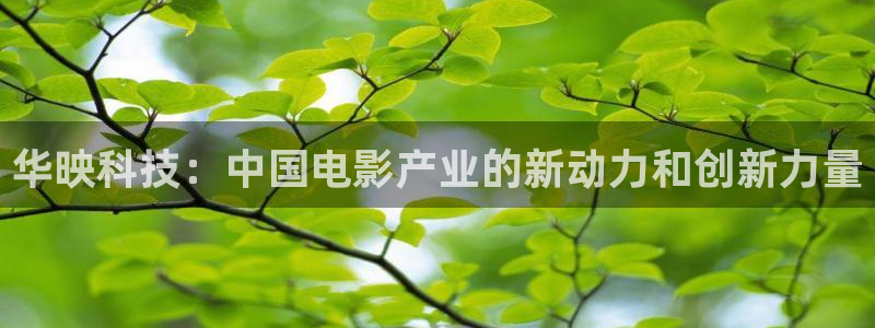 华映科技：中国电影产业的新动力和创新力量