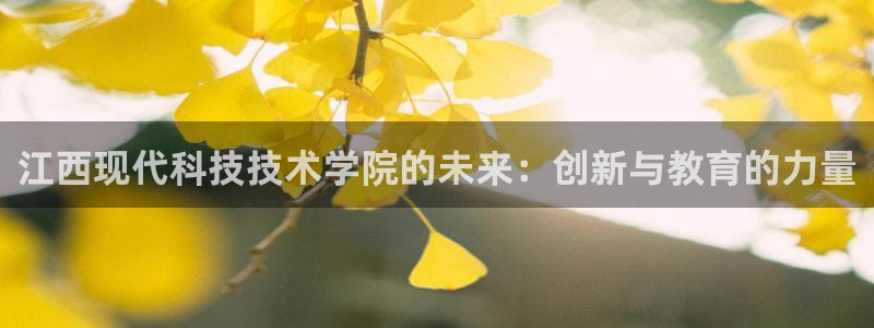 江西现代科技技术学院的未来：创新与教育的力量