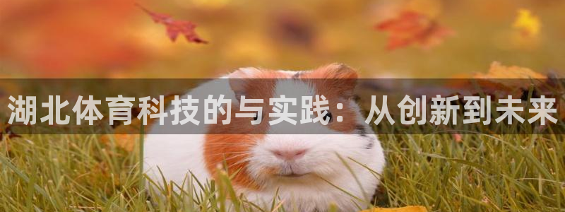 湖北体育科技的与实践：从创新到未来